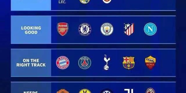 德甲夏季转会评级，加拉塔萨雷跻身豪门行列